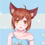 Fox Sister