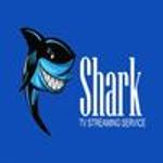 Icon Shark TV